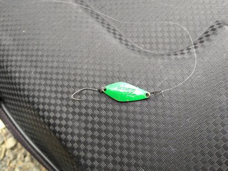 期間限定のデカニジマス